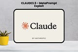 Unveiling the Meta-Information Exploit: Accessing Claude 3.5 Meta Data