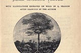 Travel Writing & Colonial Identity Construction
