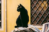 A sleek black cat sits atop a stack of scattered papers outdoors, gazing alertly to the left. Behind it, a yellow wall and a metal-gridded window create a warm, sunlit backdrop. A small print of a Renaissance-style portrait rests among the papers near the cat.