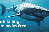 Guardians of the Blue: World Fisheries Day Special Event