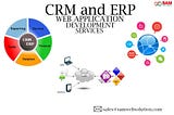 CRM and ERP Web Application Development Services | Web Development