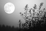 Dark Night Is Very Attractive Night