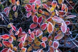 Winterizing Key Areas Around Your Houston Home