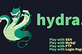 Network Hacking with HYDRA: The Art of Network Brute Force Attacks