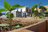 Digging where we stand: Visions of ‘urbundance’ and the role of food production in Christchurch