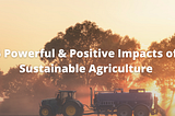 5 Powerful & Positive Impacts of Sustainable Agriculture