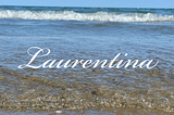 The Laurentinamap