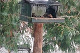 Icicles hanging from a wooden bird feeder.