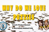 Why Do We Love Puzzles