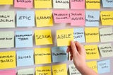 From Startup Frameworks to an Entrepreneurial Mindset