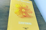 Serotonina e o Desencantamento Moderno