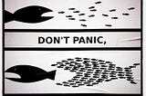 Don’t doomscroll: organise!
