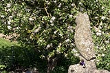 The Stone Bird Stands On Guard