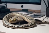 Python Power-Plays: 20 Tricks to Elevate Your Coding