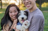 Sheepadoodle 小檸檬的成長歷程