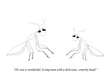 A Young Praying Mantis Asks about his Father (cartoon)