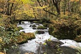 Small wooden bridge across a cascading stream, surrounded by trees and foliage in their fall colors.