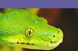 Web scraping with python Course