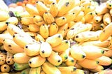 Tackling Uganda’s Banana Crisis