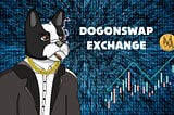 🌐 DogonSwap is a top tier AMM & DEX on BNB Smart Chain with one of the lowest trading fees at 0.16%