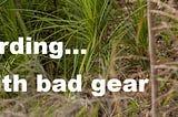 Birding with bad gear