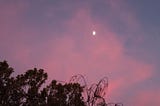 Half a Moon Lurking in the Pink Clouds