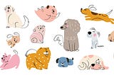 Petshop Pro Walkthrough