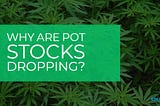 Why are pot stocks like CGC and TLRY dropping?