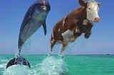 Turning Memes into Micro Stories: Tales of the Ocean Cow