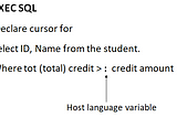 Embedded SQL in DBMS