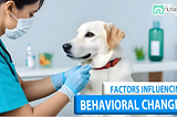 Dog Behavior Change After Vaccination (Possible Causes)