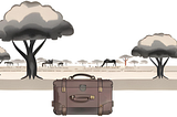 3 Months in South Africa With Hand Luggage