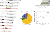 Known issues with genome build hg38