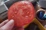 A woman’s hand, holding a slice of a tomato. In the background are planting pots and accoutrement.