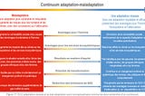De la mal-adaptation (et de la clim)