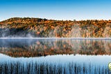 How Global Warming Alters Nature’s Colour Palette