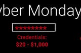 Protecting Your Business from Cyber Monday Scammers