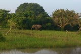 YALA NATIONAL PARK