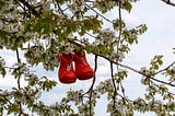 The Shoe Tree Revisited