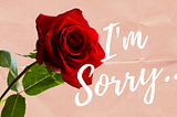 Dear Me, I’m Sorry…