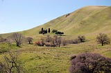 The Weird and Wonderful History Behind East Bay Parks