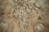 on puzzles