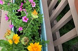 Planter box with golden, fuchsia, pink, and purple flowers