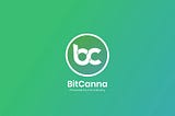 Мой опыт работы в тестовой сети BitCanna