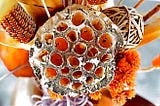 Trypophobia: Is the fear of holes real?