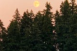 Moon setting over trees in Oregon