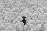 Stand Alone