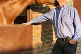 Racehorse can use their experience to heal and teach.