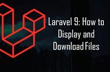 Laravel 9: How to Display and Download Files