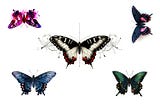 Midjourney AI renders of a butterfly with varying style prompts.